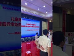 Het controlesysteem van het stekelsaldo